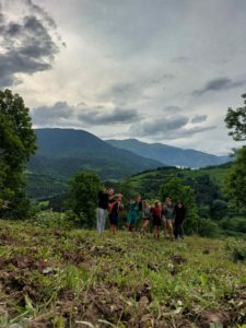 Foto Natura (1)